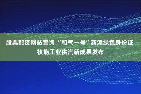 股票配资网站查询 “和气一号”新添绿色身份证 核能工业供汽新成果发布